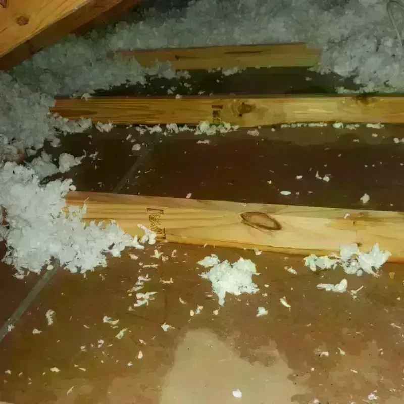 Attic Water Damage in Washington Mills, NY